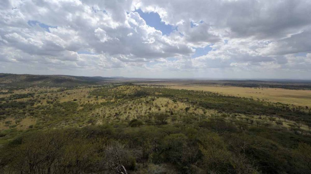 La vue sur la savane