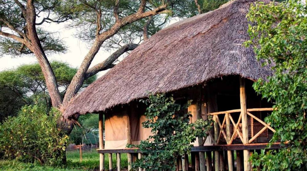 Extérieur d'une tente family