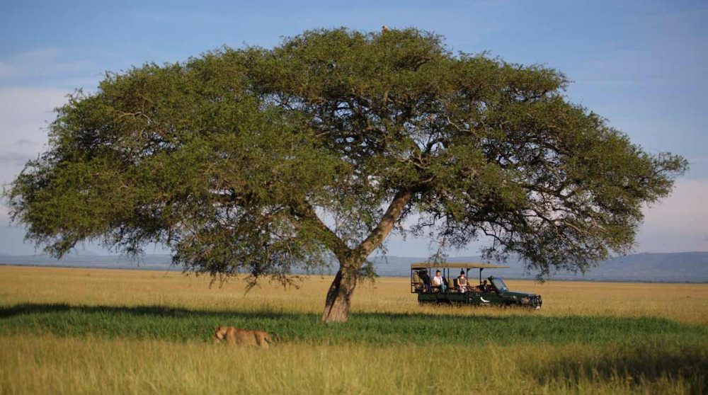 En safari dans le Serengeti