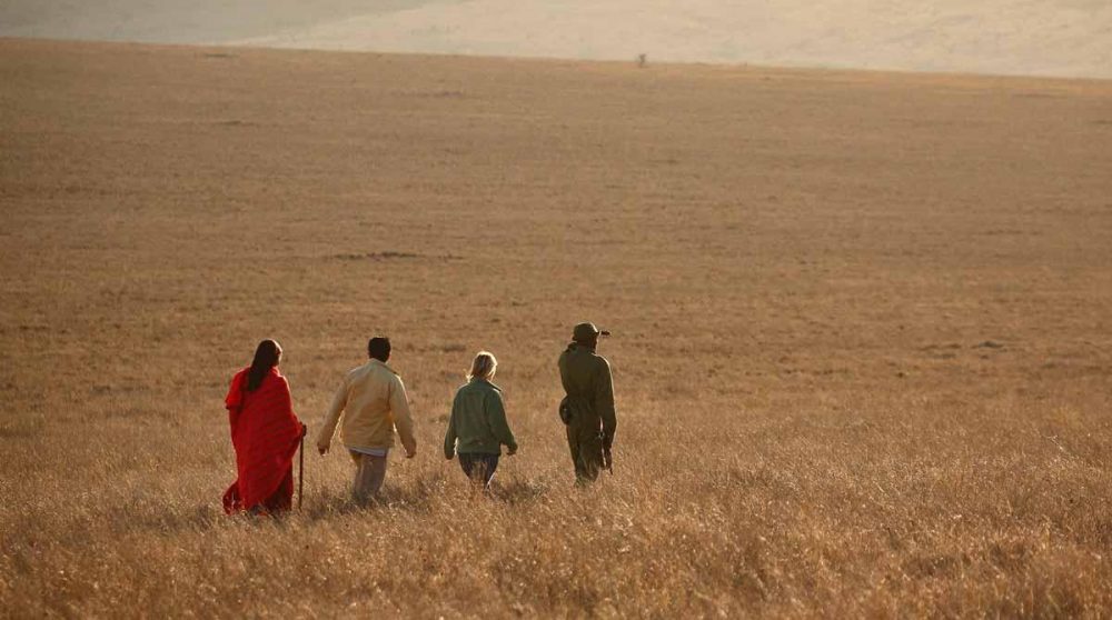 Marche dans la savane à Lewa Safari Camp