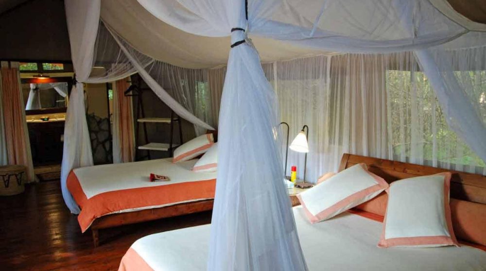 Tente double à l'Olonana