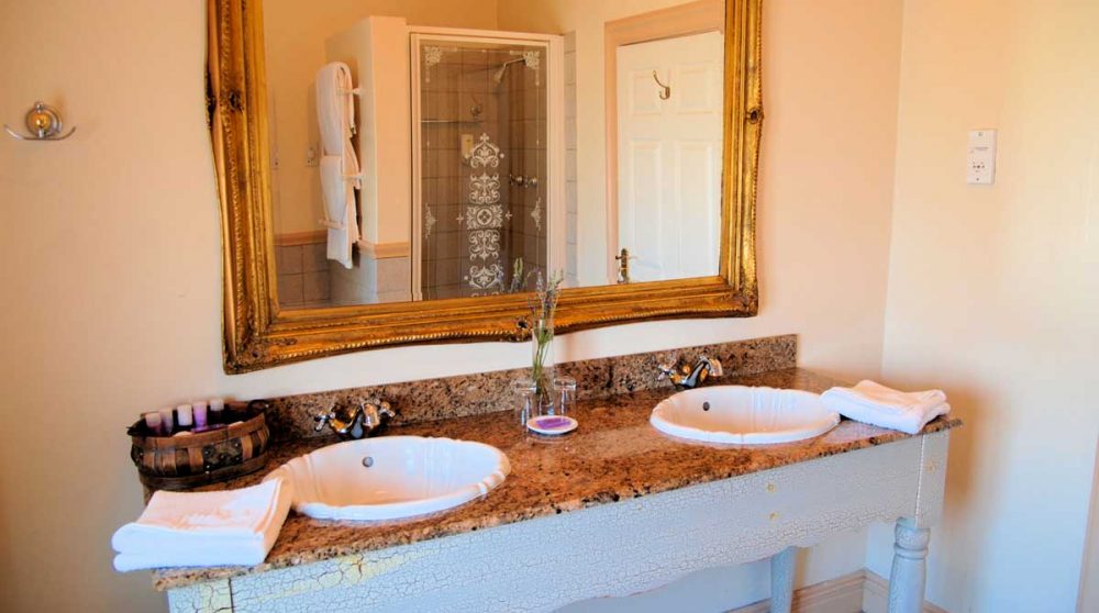 Lavabos dans une salle de bains en Afrique du Sud