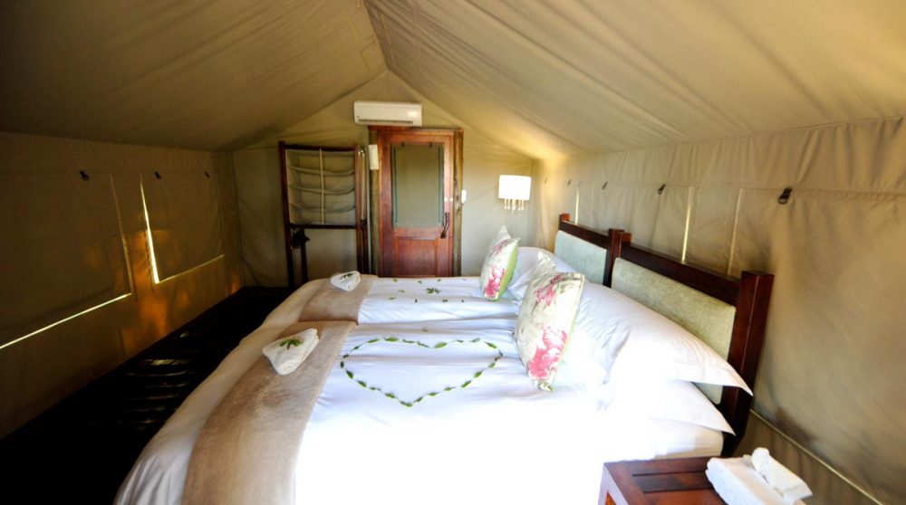 Lits dans une tente à Timbavati