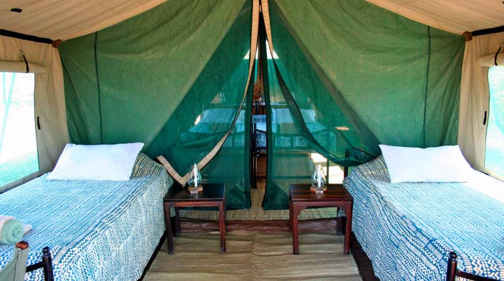 Lits simples dans une tente famille en Tanzanie
