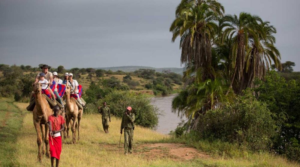Balade à dos de dromadaire le long de la rivière