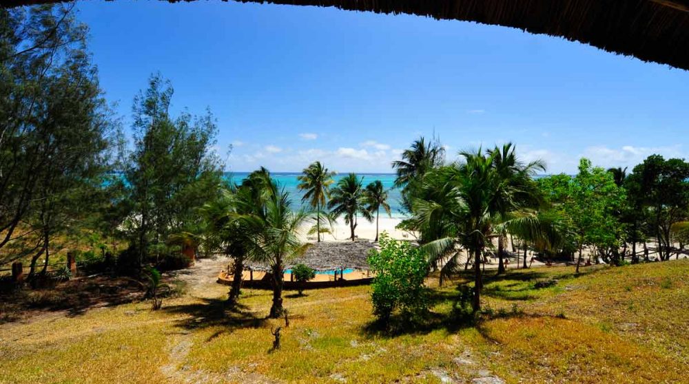 Jardin et piscine de l'hôtel