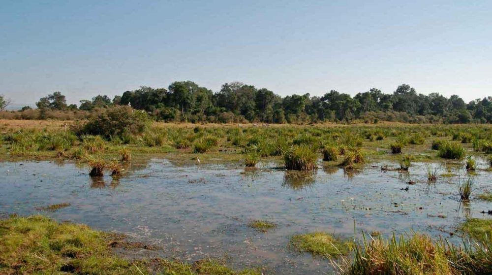 Entre terre et rivière