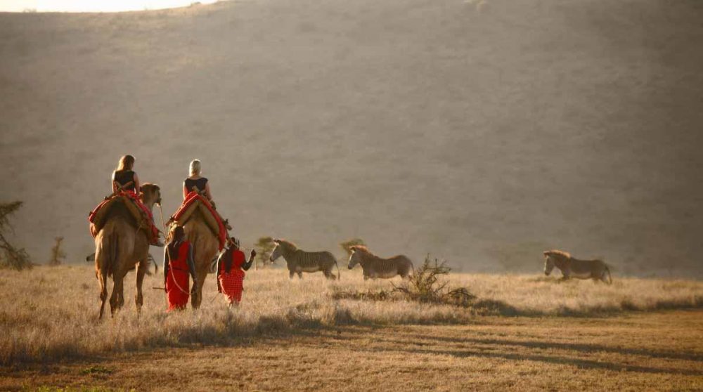 Balade à dos de dromadaire au Kenya