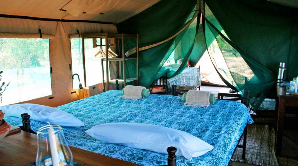 Lit double dans une tente famille dans le parc de Ruaha