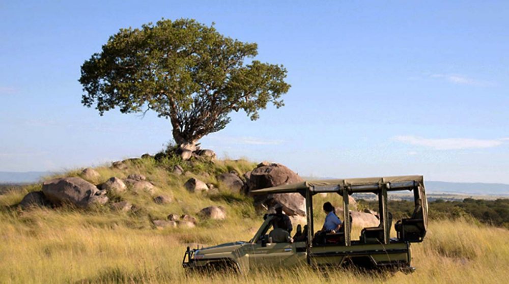 Un safari dans la nature