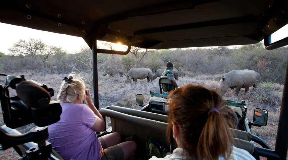 En safari près du parc Kruger