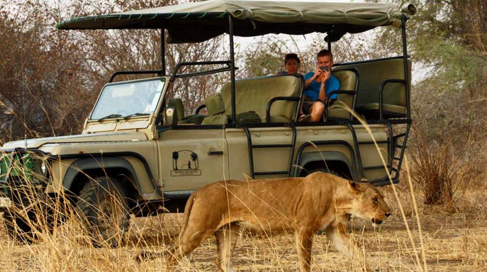 Safari au Mdonya Old River Camp