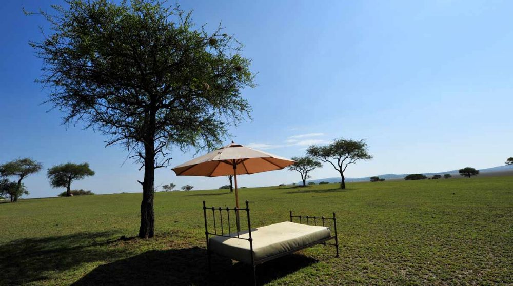 Détente dans le jardin