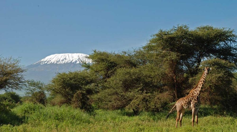 Amboseli est réputé pour ses éléphants et ses paysages