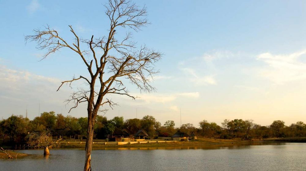 L'Arathusa Safari Lodge, un lodge idéal pour votre séjour en Afrique du Sud