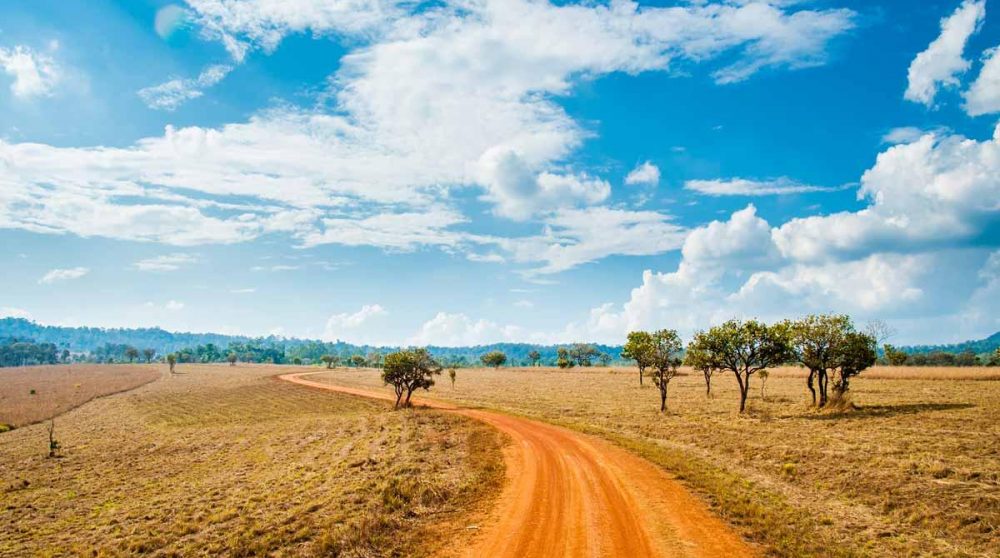 Ciel clair dans le Masai Mara