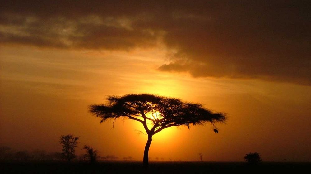 Coucher de soleil sur le Serengeti