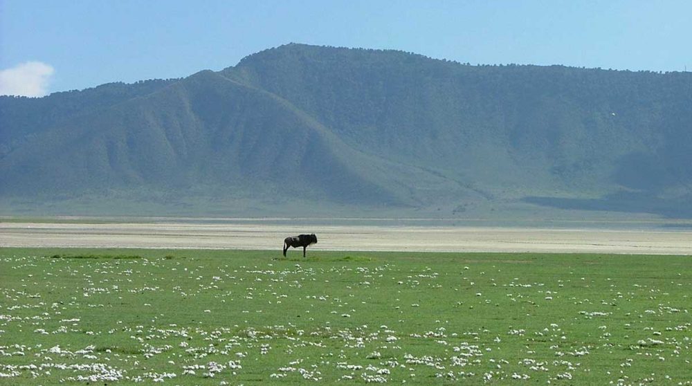 Le Cratère du Ngorongoro à découvrir durant votre circuit Tanzanie en version originale