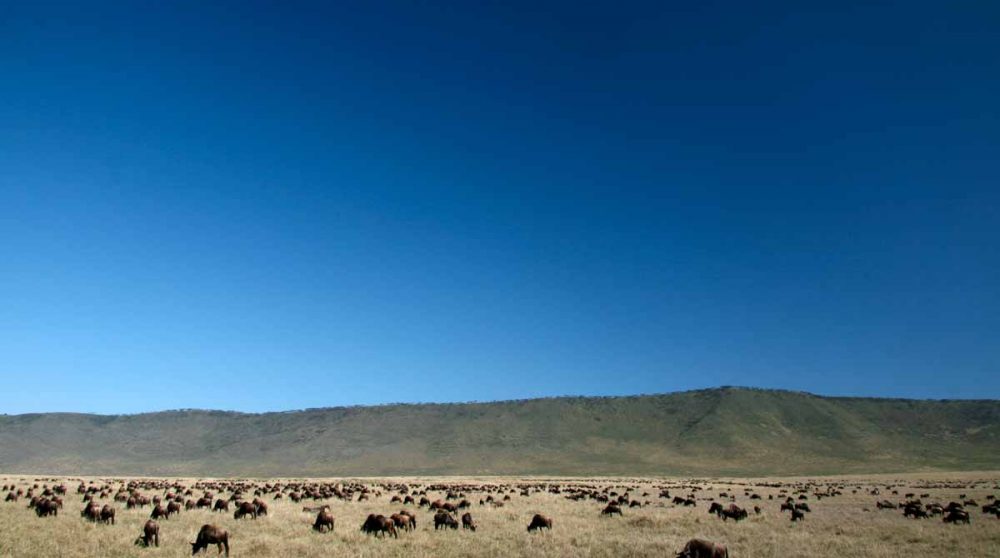 Le cratère du Ngorongoro
