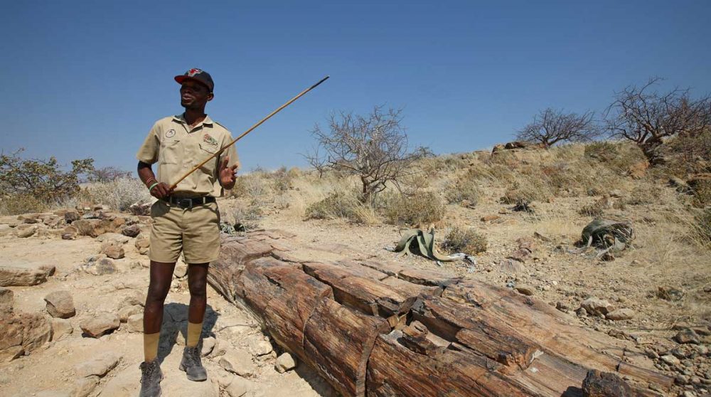 Le désert du Damaraland