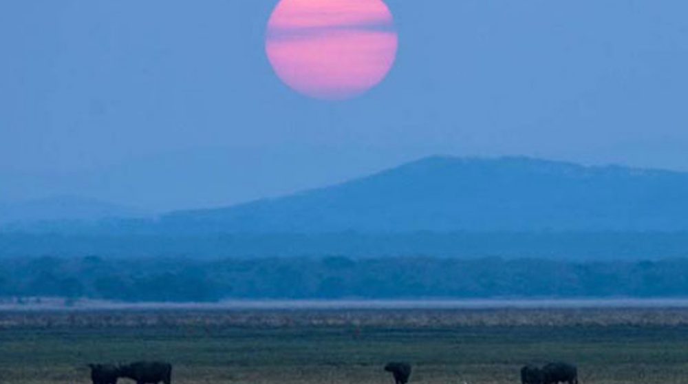 Katavi au coucher du soleil