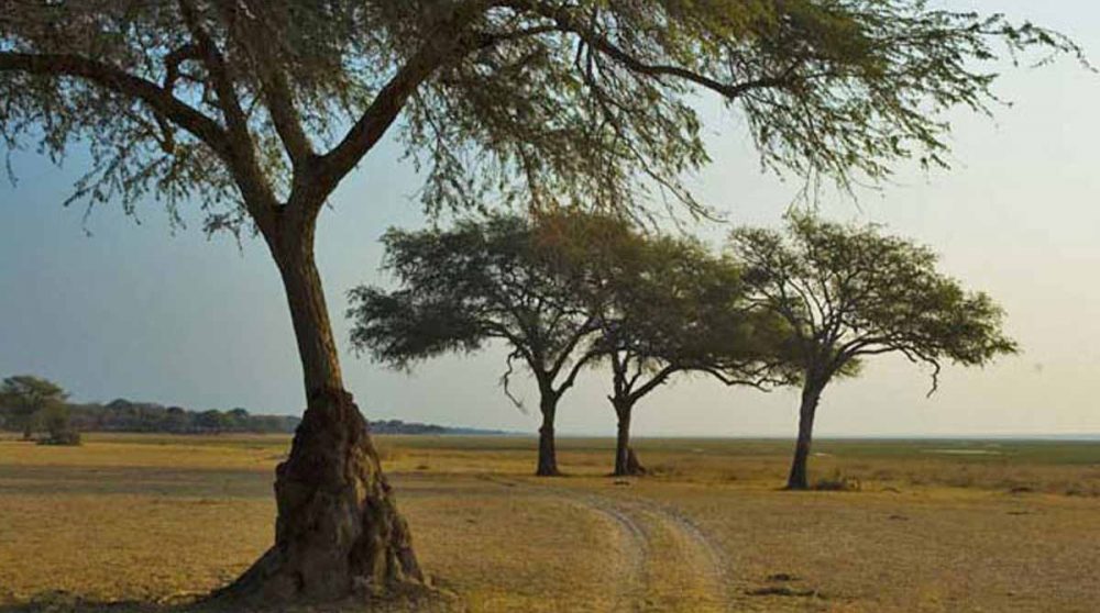 Une étape à Katavi lors de votre voyage
