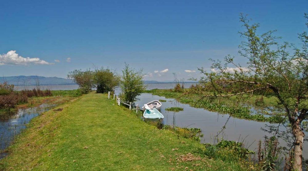 Balade au Lac Naivasha