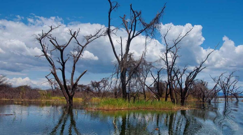 Le Lac Baringo au Kenya