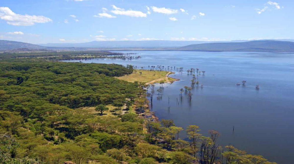 Le lac Nakuru au Kenya