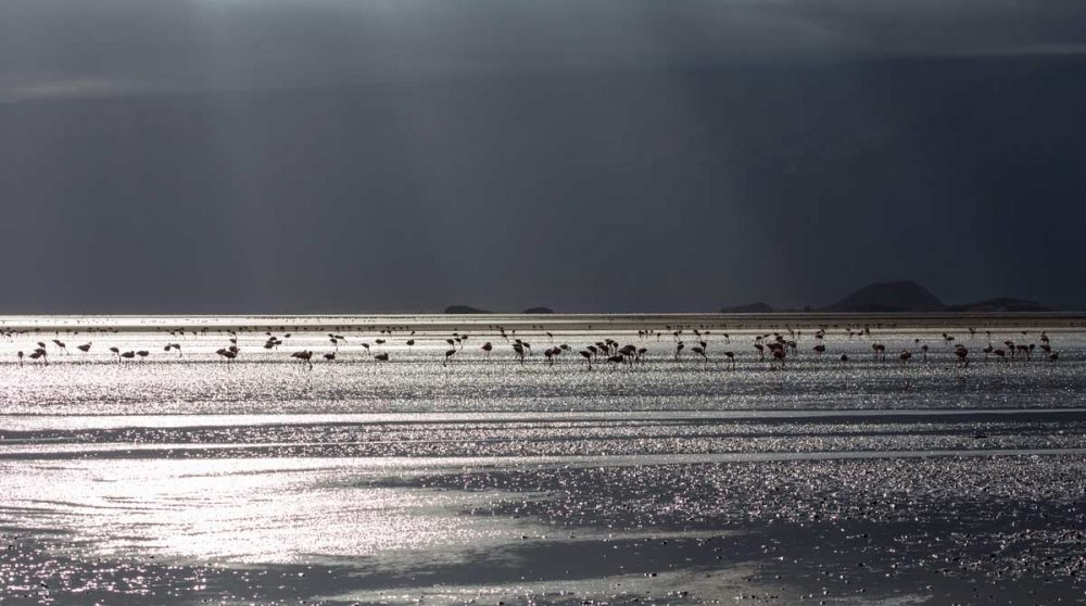 Le soleil sur le lac