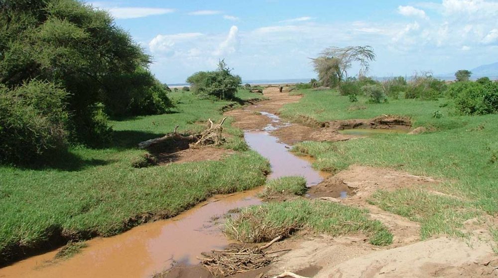 Une autre vue du Lac Manyara et sa rivière