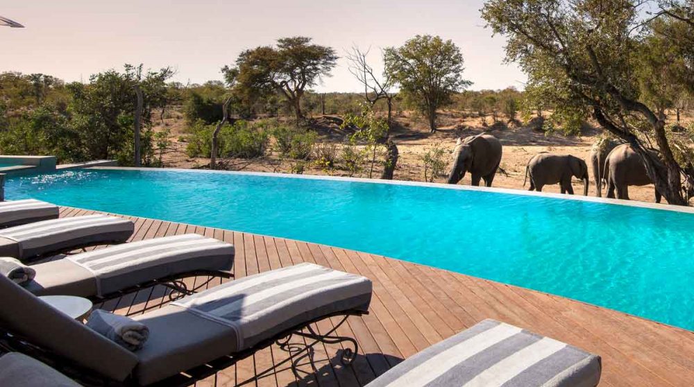 La piscine du Ngala Safari Lodge dans la réserve de Timbavati, en Afrique du Sud