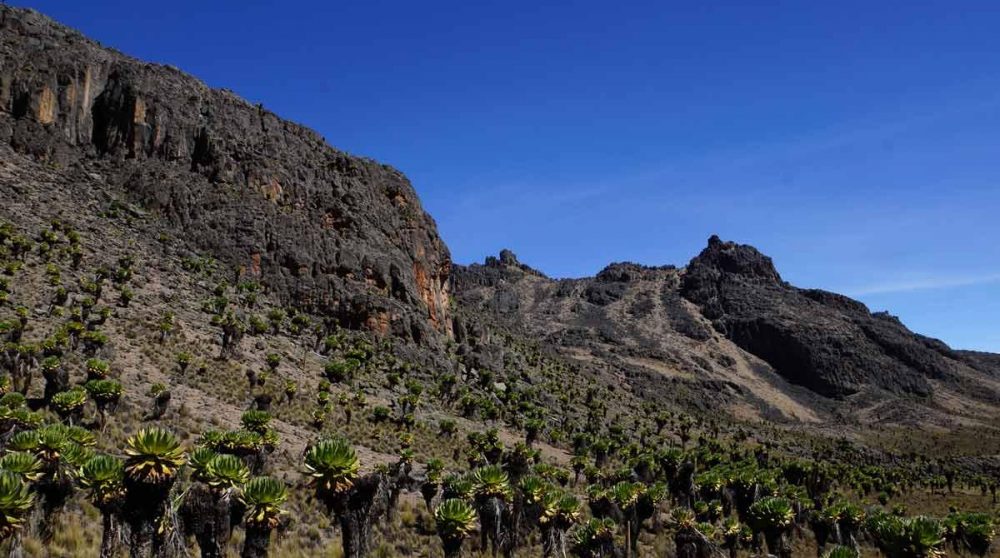 Paysage du Mont Kenya