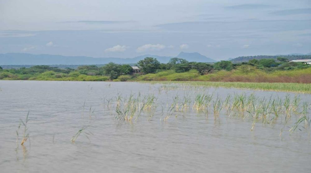 Un paysage du lac Baringo