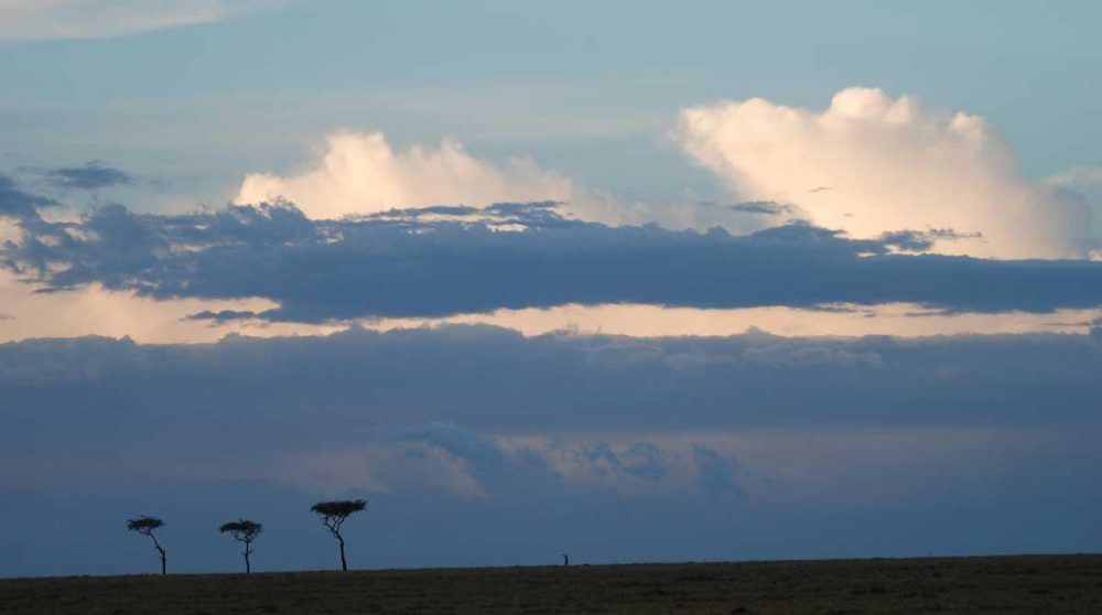 Un pasyage en fin de journée