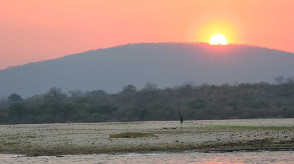 La réserve de Selous à voir durant votre circuit