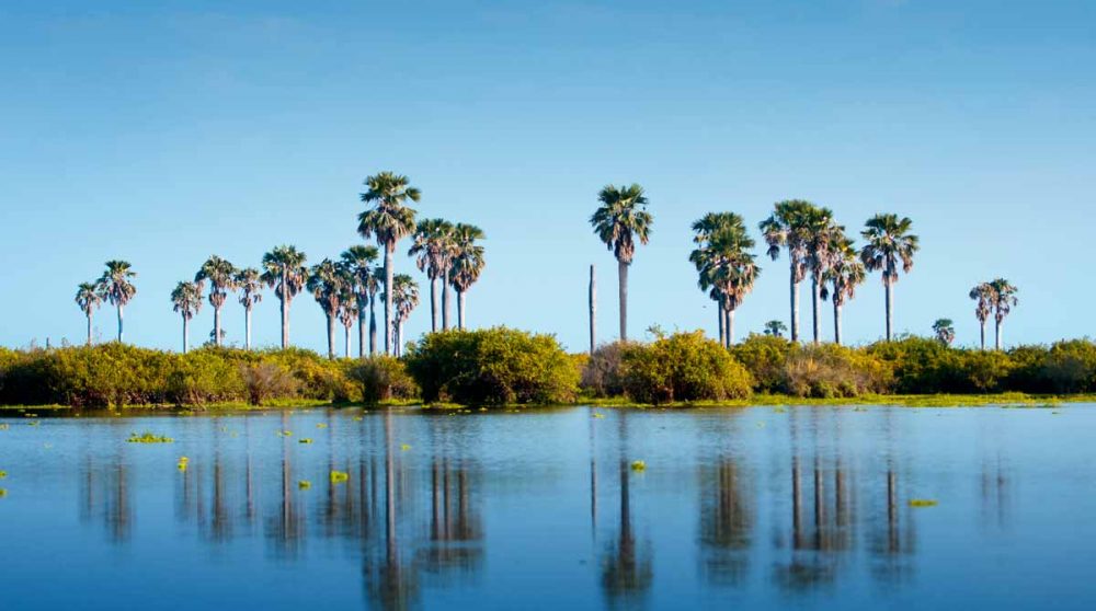 Le Lac Manze à Selous