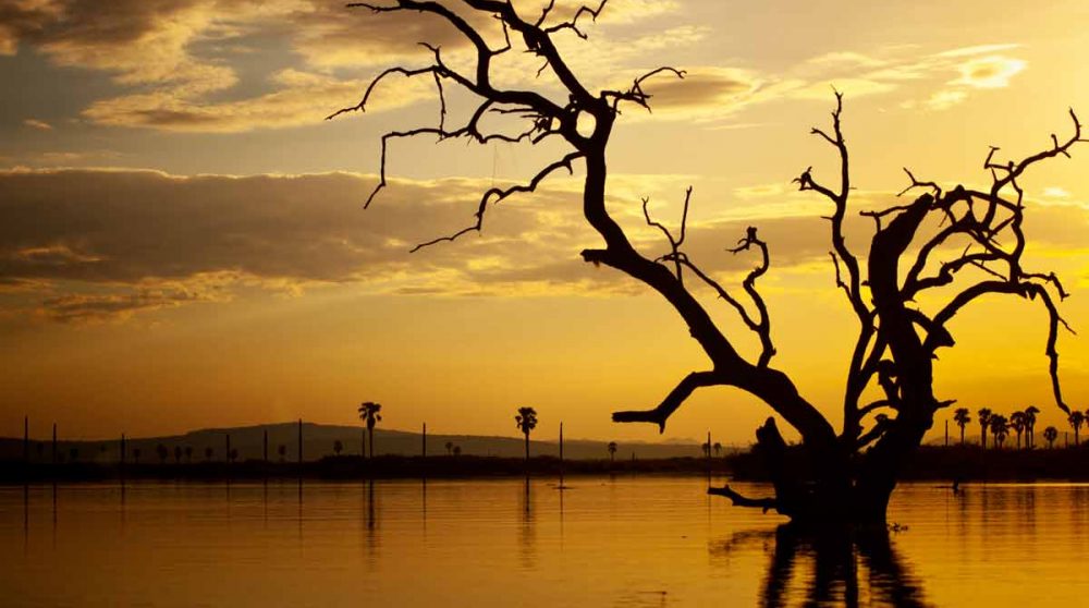 Le lac Manze à Selous