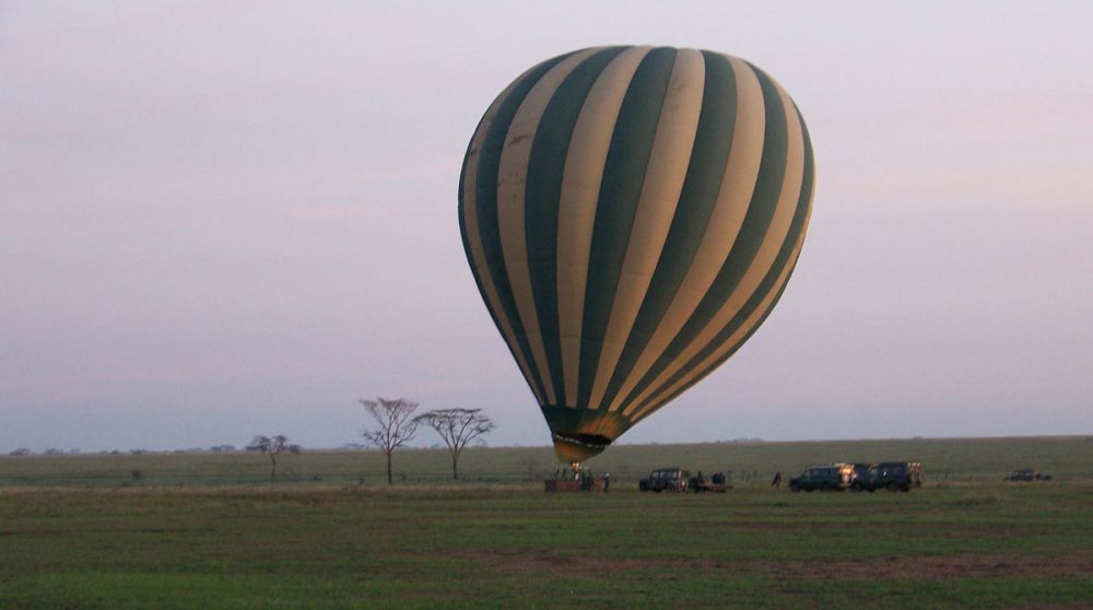 Le Serengeti National Park à voir lors de votre voyage
