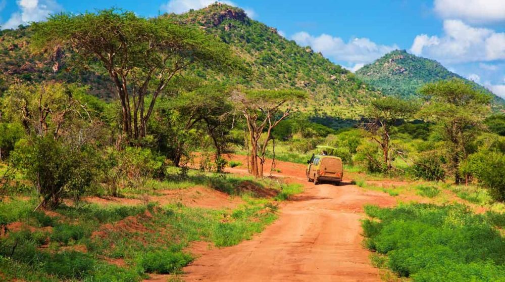 Le parc de Tsavo Ouest et ses chemins de terre