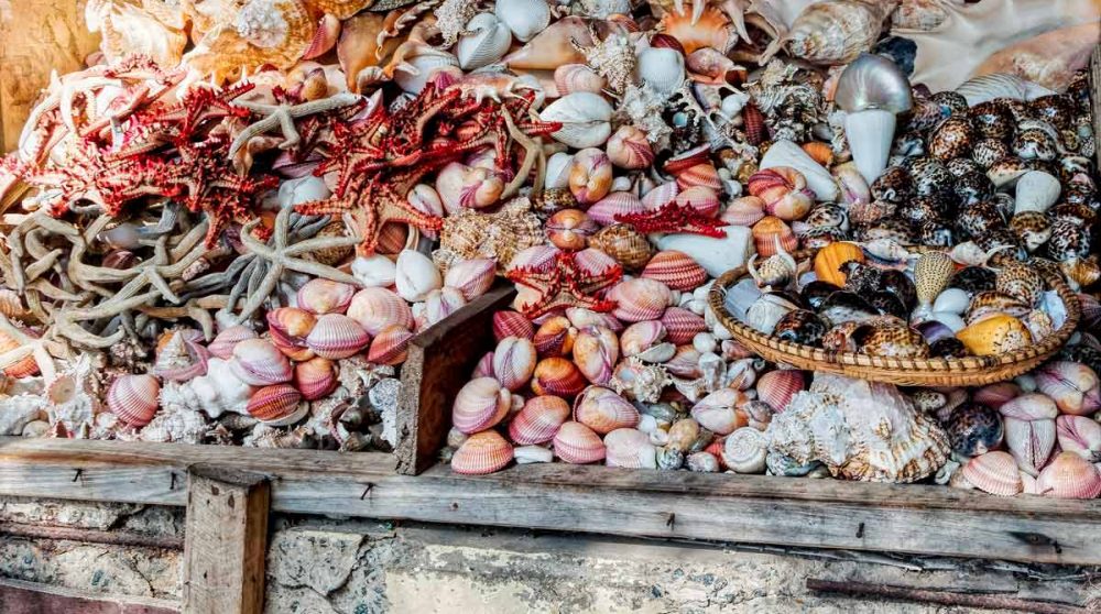 Un marché de poissons à Zanzibar
